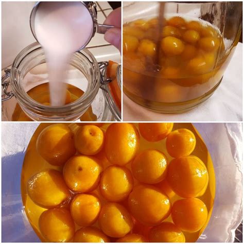 greek kumquat liqueur recipe.